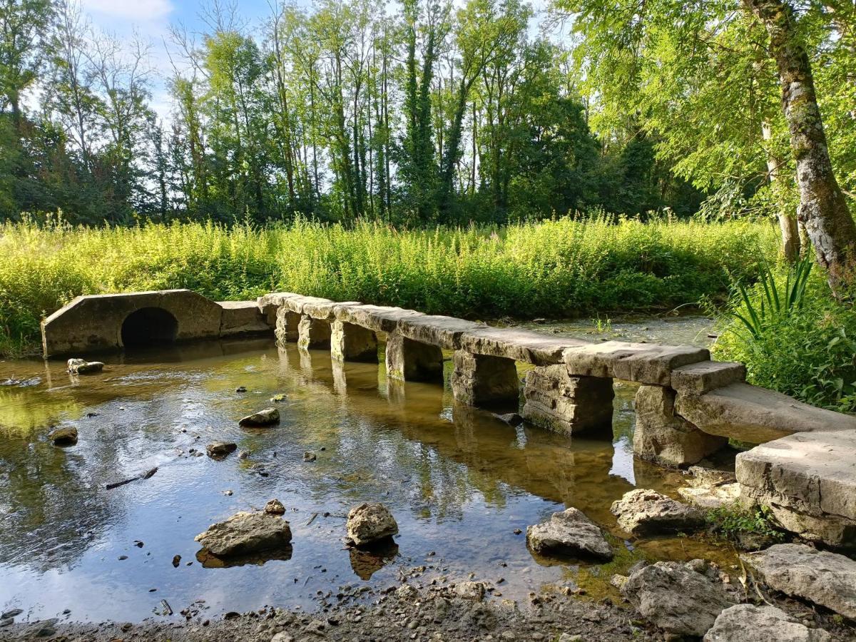 Mettez vous au vert près du château de Vaux le Vicomte en sous sol semi enterré Villa Maincy Habitación foto